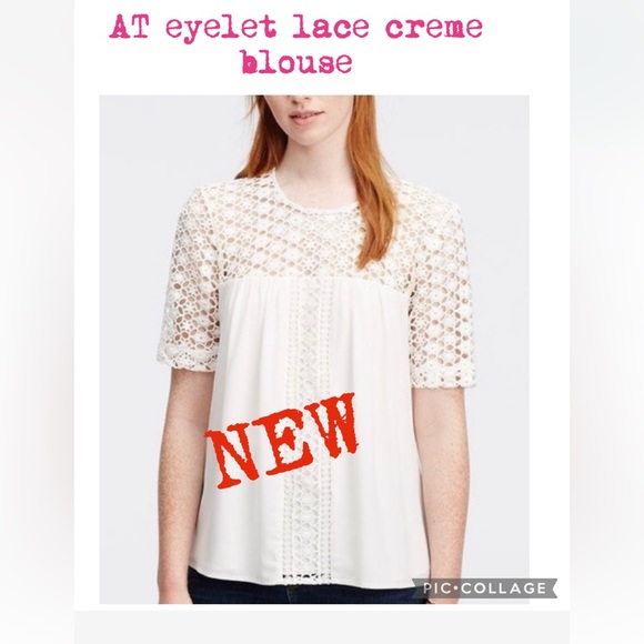 AT eyelet lace creme blouse /new condition size small - Picture 1 of 8